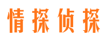 沧县侦探公司